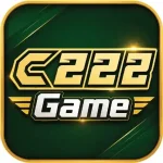 c222 Game